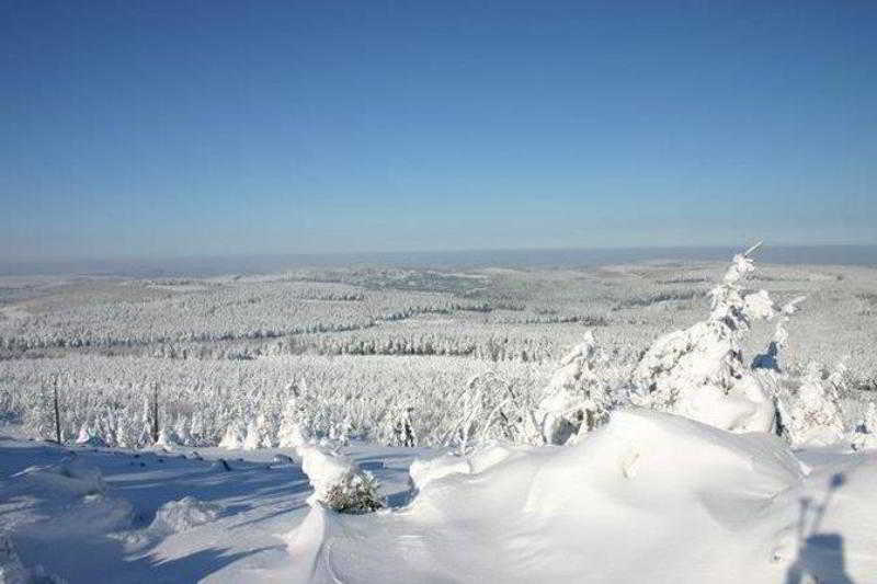 Ahorn Waldhotel Altenberg  Kültér fotó