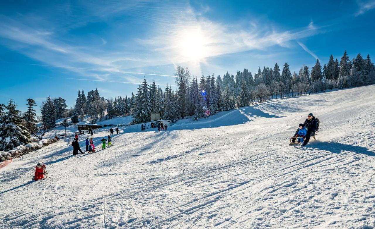 Ahorn Waldhotel Altenberg  Kültér fotó